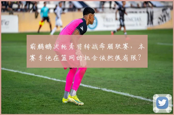 前鹈鹕次轮秀将转战希腊联赛,本赛季他在篮网的机会依然很有限?